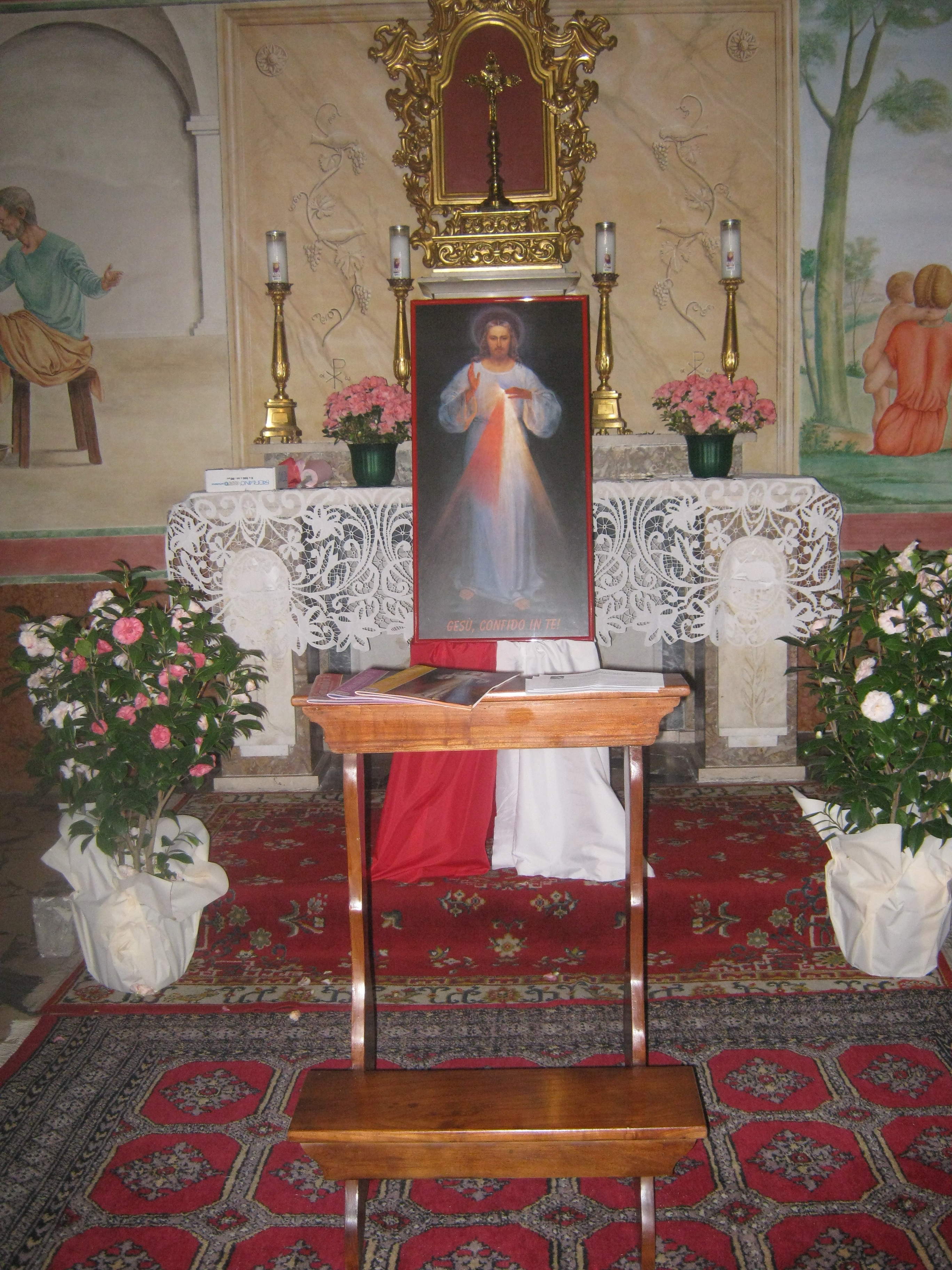 2010 divina misericordia (53)