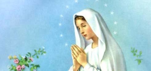 immacolata concezione 3