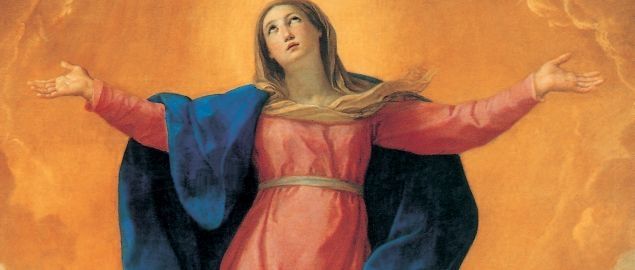 43 assunzione tiziano ok allegato 1492084